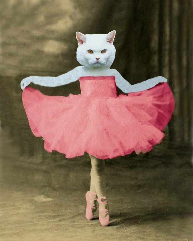 ballet cat in pink tutu