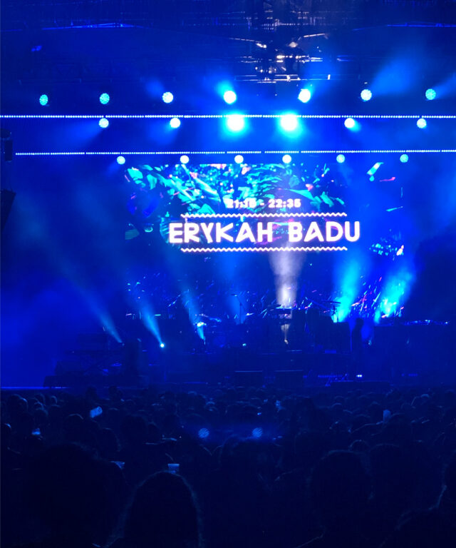 Erykah Badu Concert