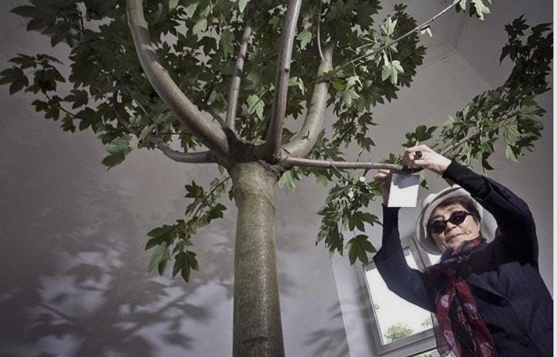Wish Tree For Yoko Ono Website Celebrates 90th Birthday TheatreArtLife