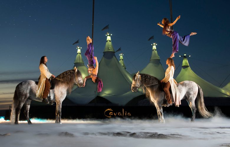 The Story Behind Cavalia, One of The Largest Shows on Earth