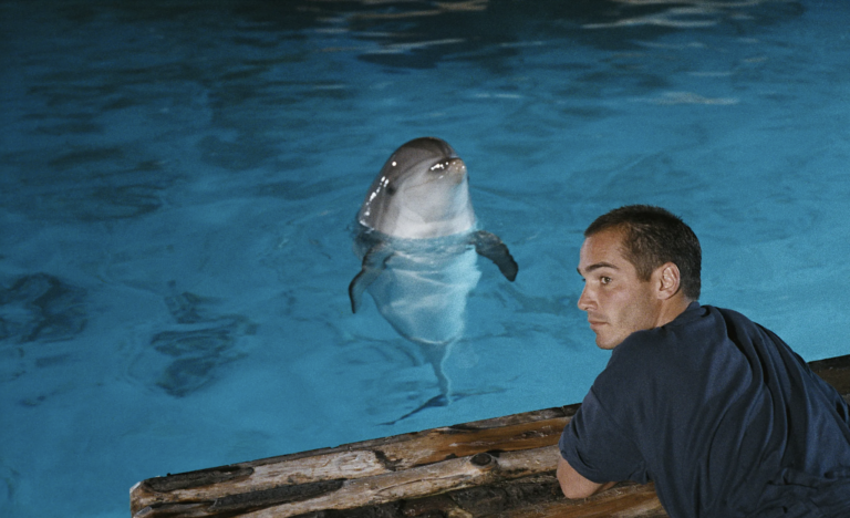 jacques and dolphin