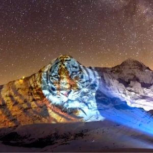 ‘Tiger on Eiger’ by Swiss Artist to Celebrate Chinese New Year