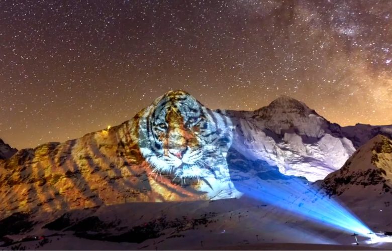 ‘Tiger on Eiger’ by Swiss Artist to Celebrate Chinese New Year